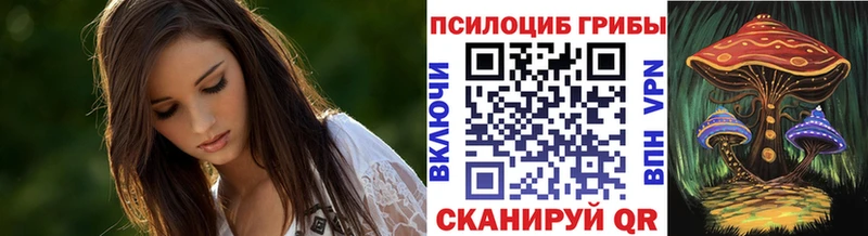 Псилоцибиновые грибы Psilocybine cubensis блэк спрут ONION Краснообск